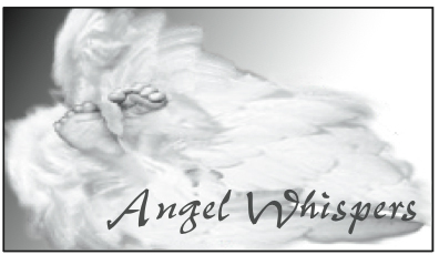 Logo of Angel Whispers Baby Loss Support Program
