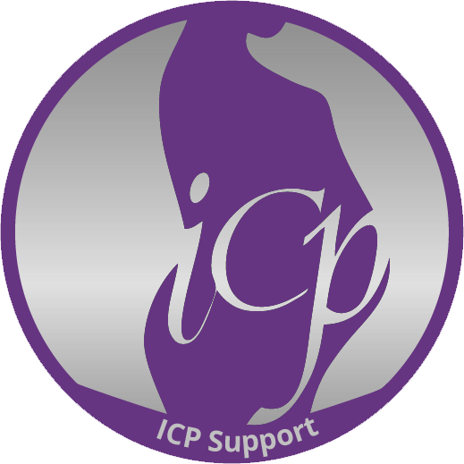 Logo of ICP Support