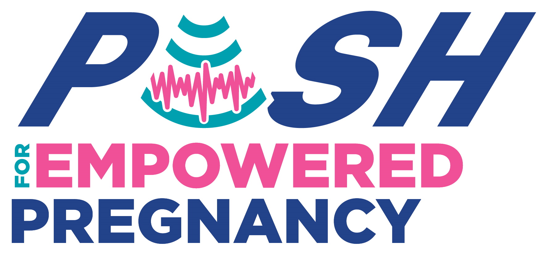 Logo of PUSH for Empowered Pregnancy